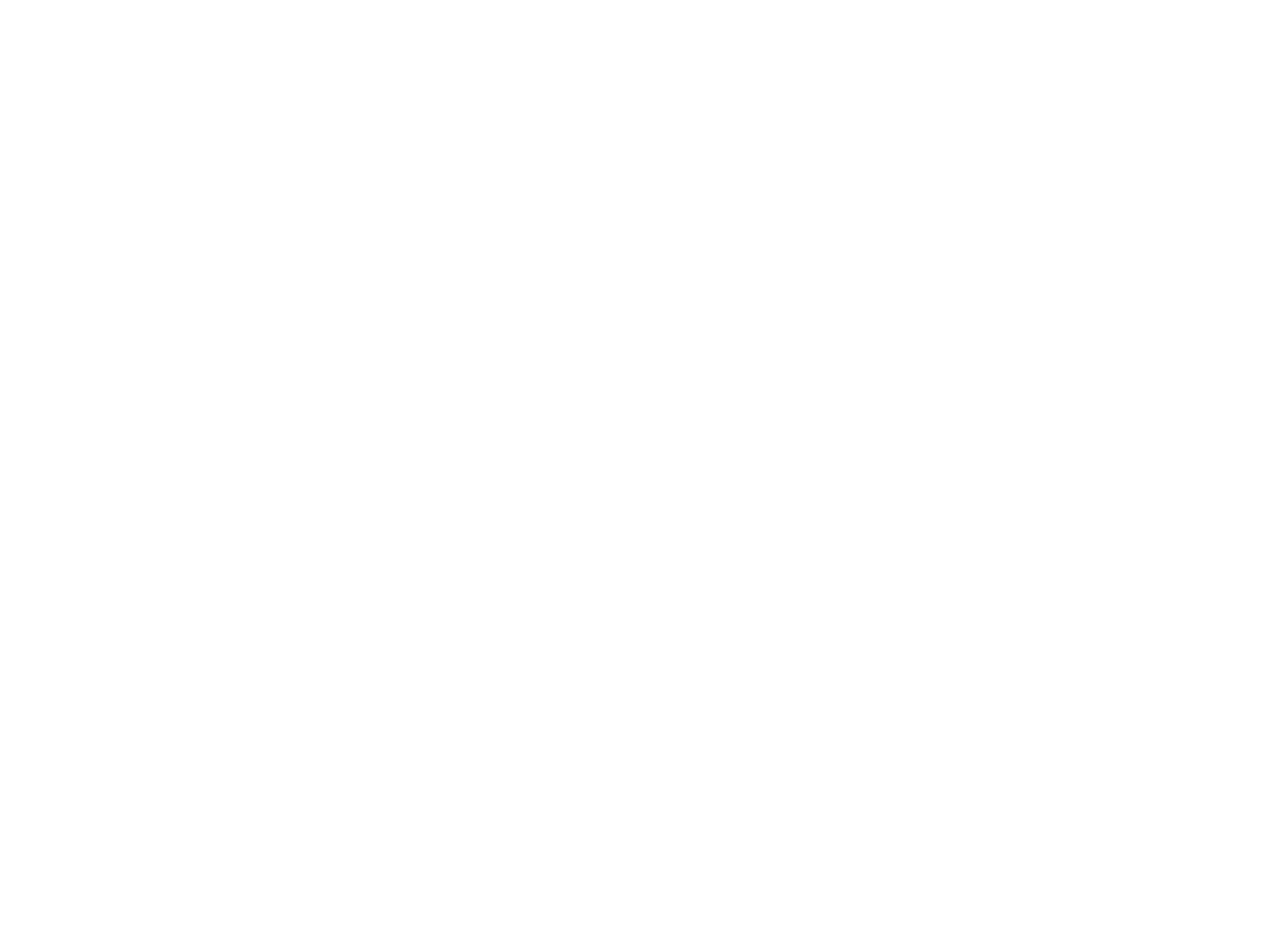 Logo Linfa Digitale - Partner di Red Lynx
